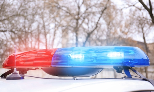 Una captura de profundidad de campo de las luces de un auto policial con árboles en el fondo.