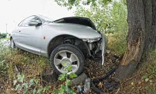 A silver-grey car having collided with a tree after being forced off-road.