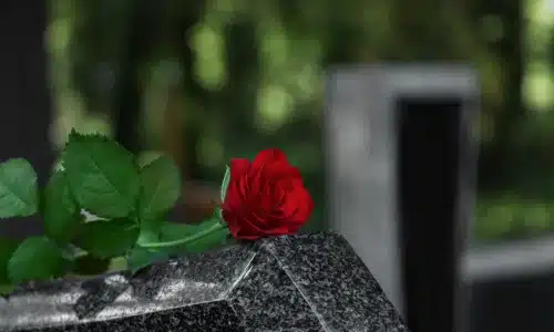 A red rose resting on a granite tombstone after a wrongful death victim's funeral.