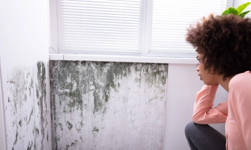 A renter staring at a large patch of mold in the corner of her apartment.