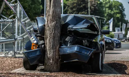 A dark blue car with a totaled front end after crashing into a tree at the side of the road.