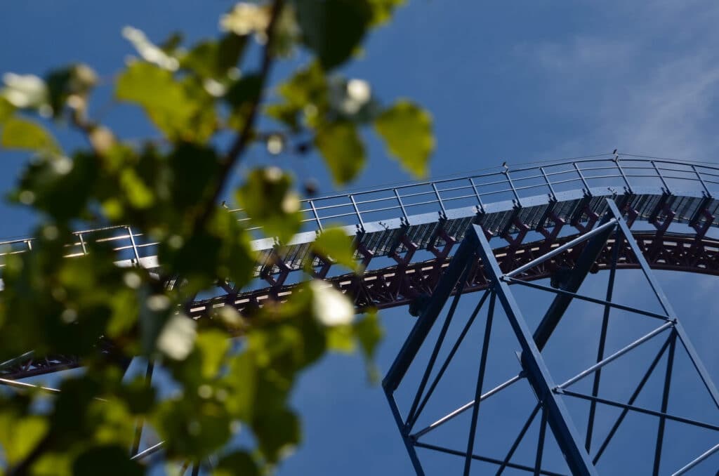 blue roller coaster tracks behind foliage